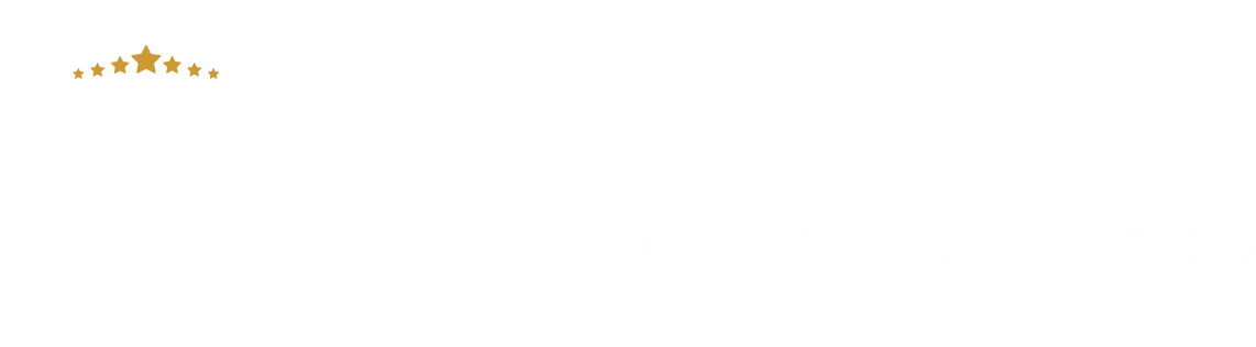 FEGIM Security Logo